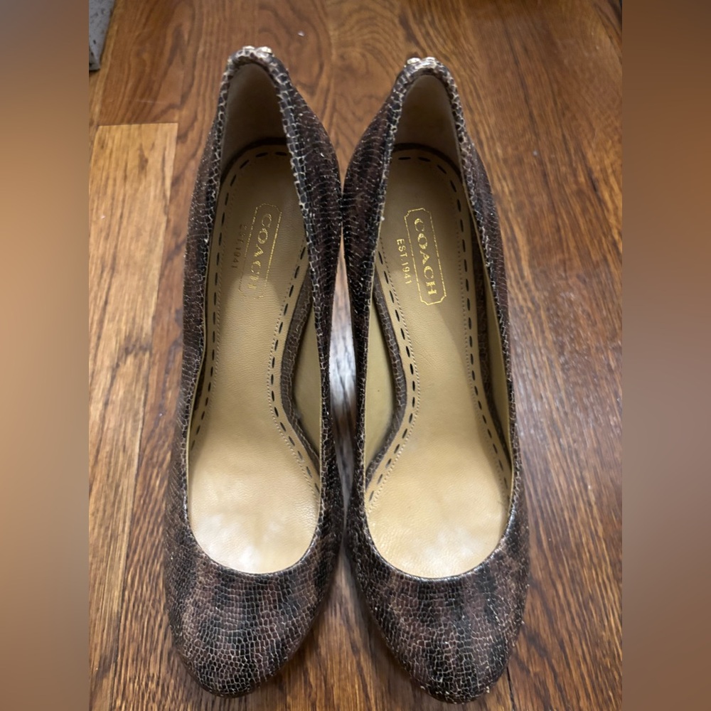Coach Snakeskin Brown Women's Heels